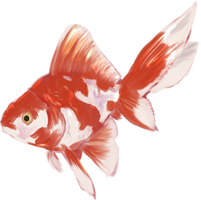 Japanese Traditional Gold Fish Illustration 
