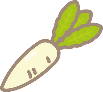 Vegetable Radish Illustration 